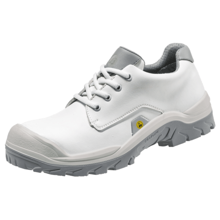 ladies office safety shoes