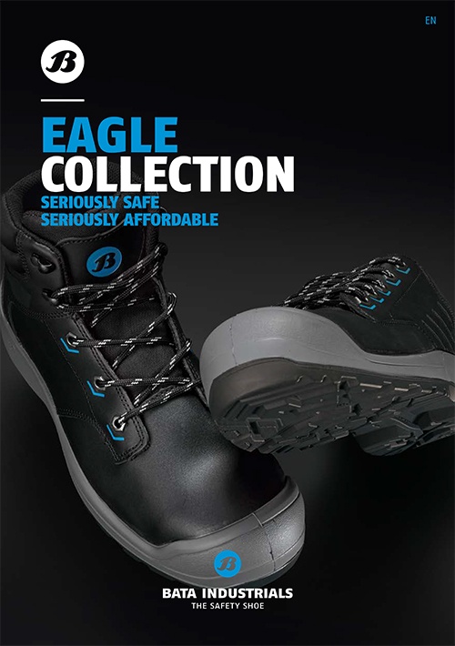 Eagle brochure cover