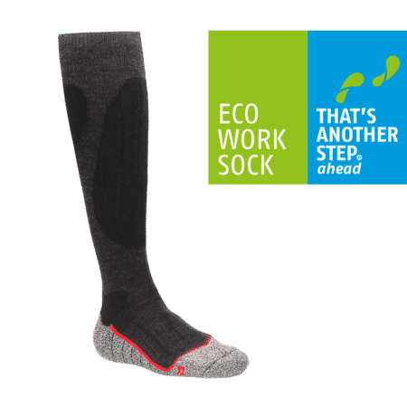 Thermo ML Eco